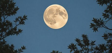 Cómo los ciclos de la luna influencian tu energía espiritual