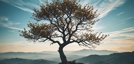 El Viento en la Mitología: Símbolo de Vida y Energía en las Culturas Ancestrales
