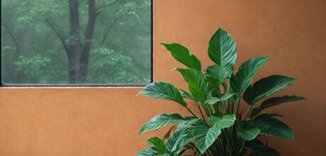 Cuentos de respeto y reverencia a la naturaleza: Una guía para promover la conservación ambiental